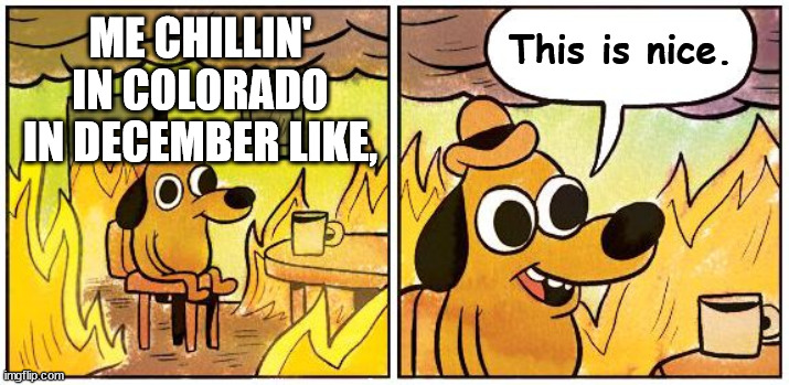 Climate Change is Nice... | This is nice. ME CHILLIN' IN COLORADO IN DECEMBER LIKE, | image tagged in this is fine blank,dumb dog,dumb dog in flames,satan,heat wave,colorado | made w/ Imgflip meme maker