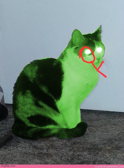 Hypno Raycat | image tagged in hypno raycat | made w/ Imgflip meme maker