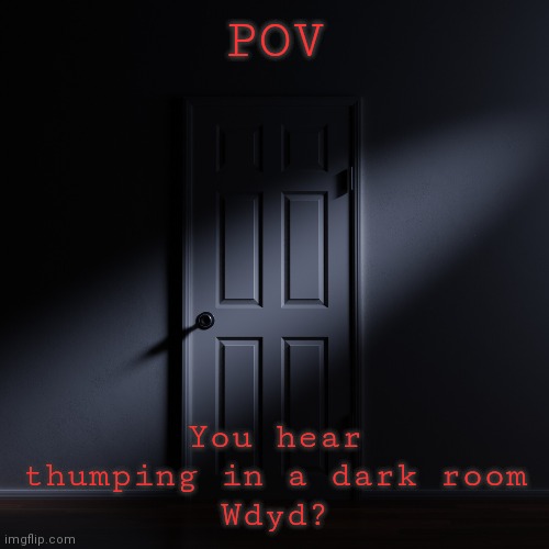POV; You hear thumping in a dark room
Wdyd? | image tagged in dark room | made w/ Imgflip meme maker