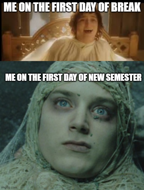 ME ON THE FIRST DAY OF BREAK; ME ON THE FIRST DAY OF NEW SEMESTER | image tagged in lord of the rings,frodo,school | made w/ Imgflip meme maker
