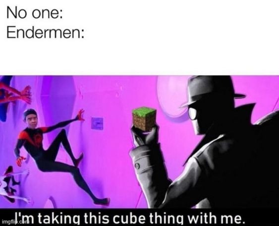 image tagged in minecraft,enderman | made w/ Imgflip meme maker