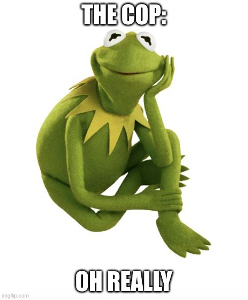 Oh Really Kermit | THE COP: OH REALLY | image tagged in oh really kermit | made w/ Imgflip meme maker