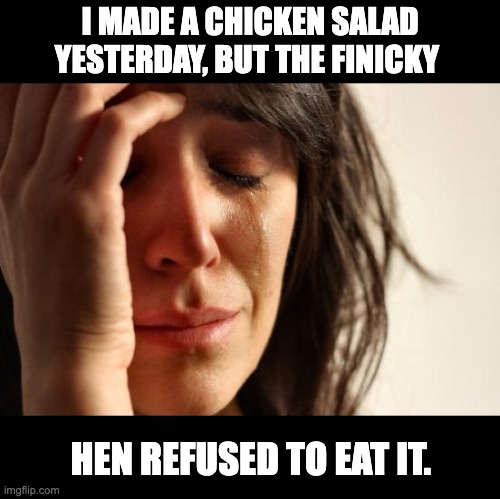 Chicken | I MADE A CHICKEN SALAD YESTERDAY, BUT THE FINICKY; HEN REFUSED TO EAT IT. | image tagged in memes,first world problems | made w/ Imgflip meme maker