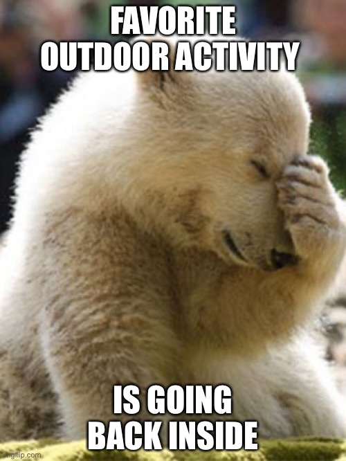 Facepalm Bear |  FAVORITE OUTDOOR ACTIVITY; IS GOING BACK INSIDE | image tagged in memes,facepalm bear | made w/ Imgflip meme maker