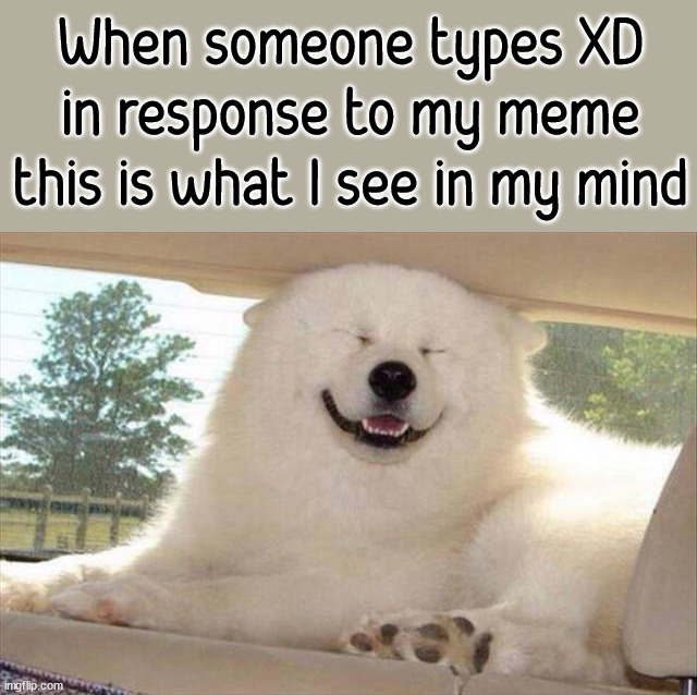 When someone types XD in response to my meme this is what I see in my mind | image tagged in dogs | made w/ Imgflip meme maker