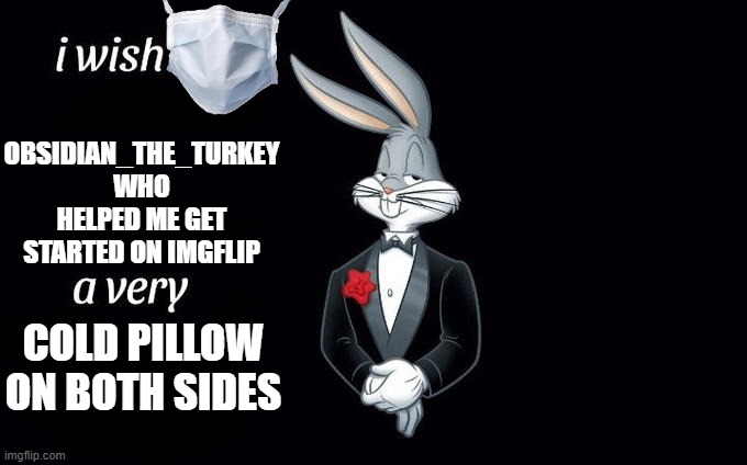 Thank you Shout out to you. | OBSIDIAN_THE_TURKEY WHO HELPED ME GET STARTED ON IMGFLIP; COLD PILLOW ON BOTH SIDES | image tagged in i wish all x a very y | made w/ Imgflip meme maker