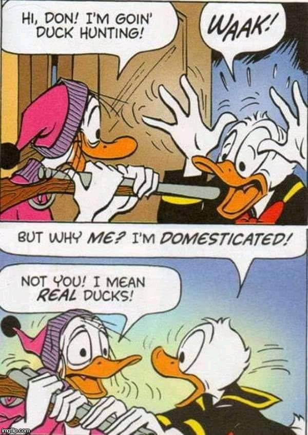image tagged in comics/cartoons | made w/ Imgflip meme maker