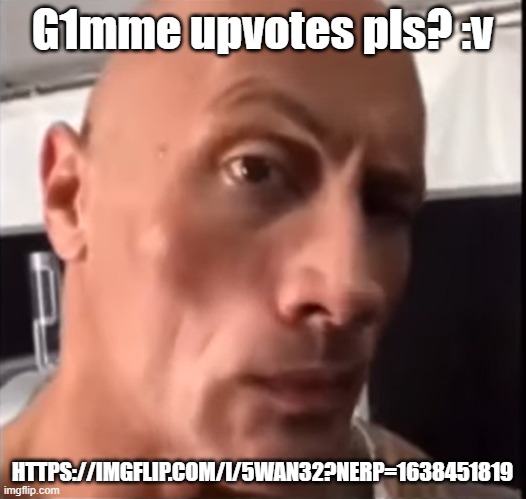 the rock | G1mme upvotes pls? :v; HTTPS://IMGFLIP.COM/I/5WAN32?NERP=1638451819 | image tagged in the rock | made w/ Imgflip meme maker