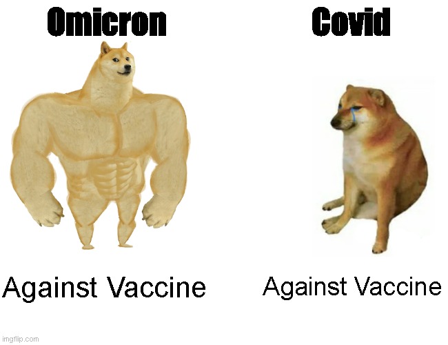 Omicron | Omicron; Covid; Against Vaccine; Against Vaccine | image tagged in memes,buff doge vs cheems | made w/ Imgflip meme maker