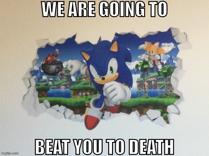 WE ARE GOING TO; BEAT YOU TO DEATH | image tagged in sonic the hedgehog | made w/ Imgflip meme maker