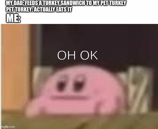 MY DAD: FEEDS A TURKEY SANDWICH TO MY PET TURKEY; PET TURKEY: ACTUALLY EATS IT; ME:; OH OK | image tagged in white text box,kirby | made w/ Imgflip meme maker