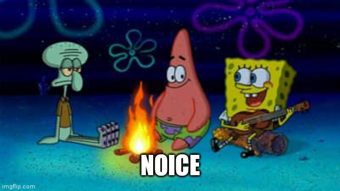 SpongeBob Campfire Song | NOICE | image tagged in spongebob campfire song | made w/ Imgflip meme maker