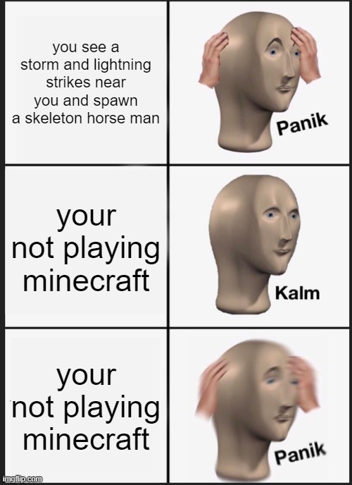 oh hell nah | you see a storm and lightning strikes near you and spawn a skeleton horse man; your not playing minecraft; your not playing minecraft | image tagged in memes,panik kalm panik | made w/ Imgflip meme maker