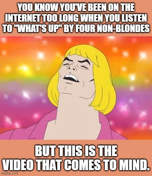 WTF is going on?? | YOU KNOW YOU'VE BEEN ON THE INTERNET TOO LONG WHEN YOU LISTEN TO "WHAT'S UP" BY FOUR NON-BLONDES; BUT THIS IS THE VIDEO THAT COMES TO MIND. | image tagged in he man what's up | made w/ Imgflip meme maker