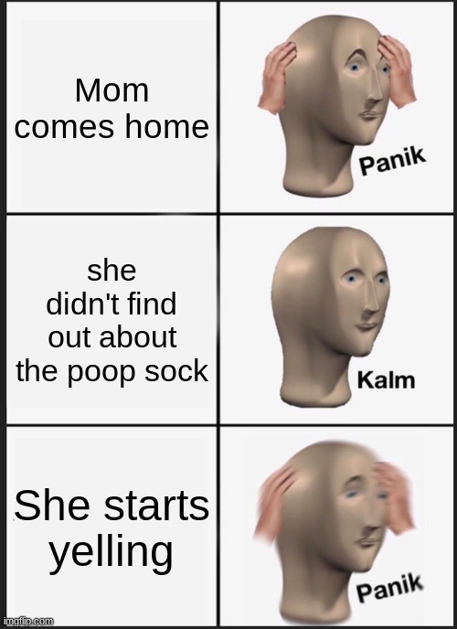 true | Mom comes home; she didn't find out about the poop sock; She starts yelling | image tagged in memes,panik kalm panik | made w/ Imgflip meme maker