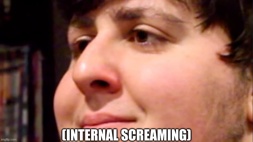 Jontron internal screaming | (INTERNAL SCREAMING) | image tagged in jontron internal screaming | made w/ Imgflip meme maker