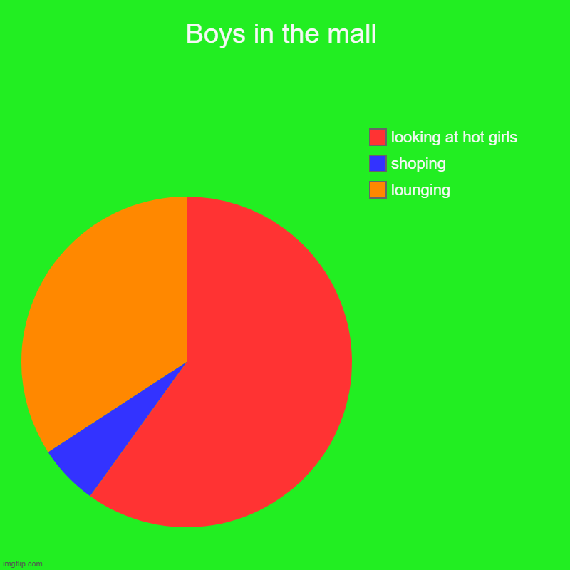 Boys in the mall | lounging, shoping, looking at hot girls | image tagged in charts,pie charts | made w/ Imgflip chart maker