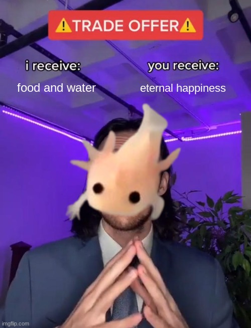 food and water; eternal happiness | image tagged in axolotl,axolotl drake,trade,trade offer,i receive you receive,memes | made w/ Imgflip meme maker