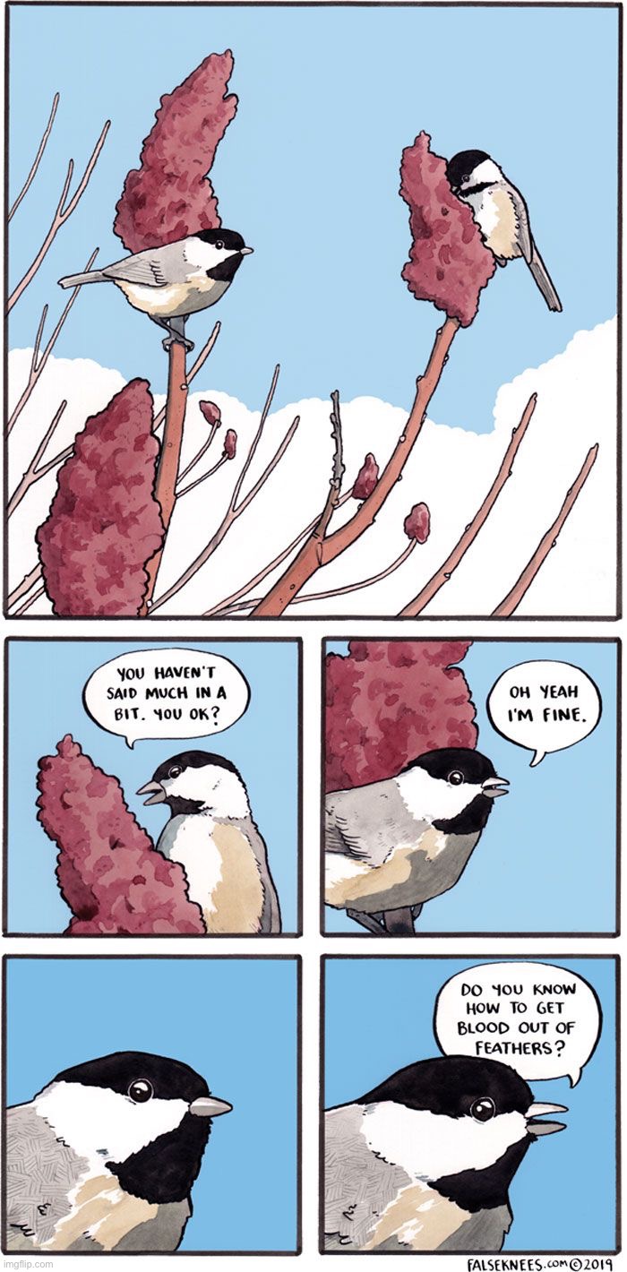 Oh god D: | image tagged in memes,funny,comics/cartoons,birds | made w/ Imgflip meme maker