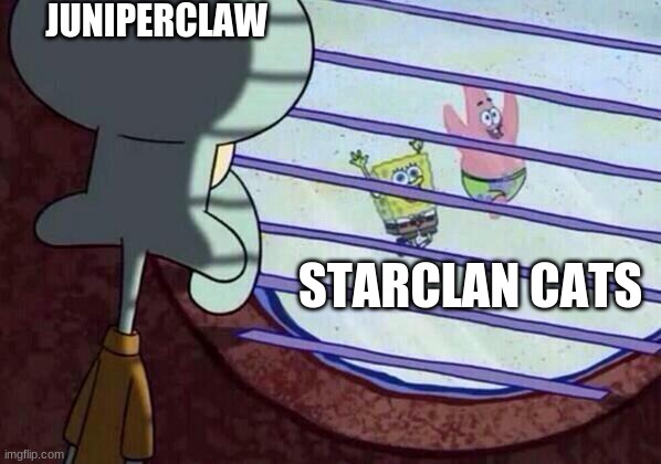 Poor Juniperclaw | JUNIPERCLAW; STARCLAN CATS | image tagged in squidward window | made w/ Imgflip meme maker
