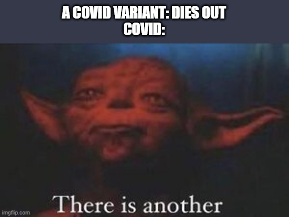 There is always another | A COVID VARIANT: DIES OUT
COVID: | image tagged in yoda there is another | made w/ Imgflip meme maker