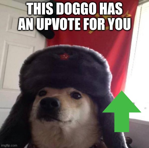 Russian Doge | THIS DOGGO HAS AN UPVOTE FOR YOU | image tagged in russian doge | made w/ Imgflip meme maker