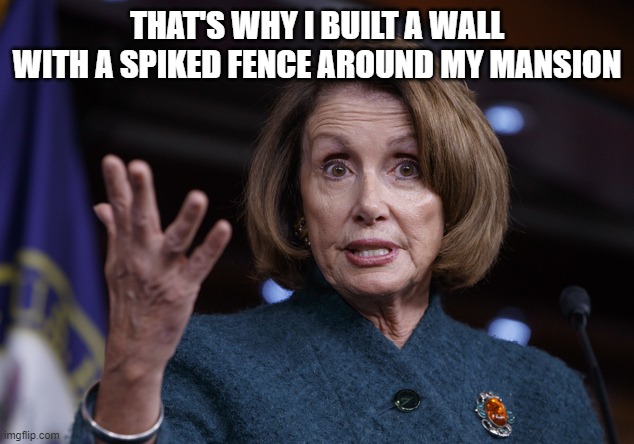 Good old Nancy Pelosi | THAT'S WHY I BUILT A WALL WITH A SPIKED FENCE AROUND MY MANSION | image tagged in good old nancy pelosi | made w/ Imgflip meme maker