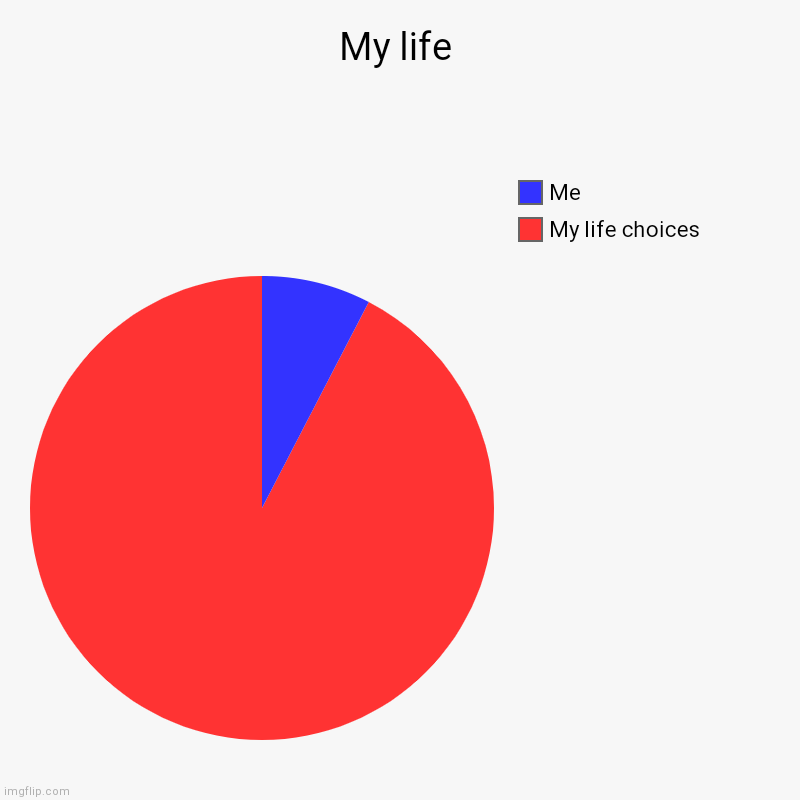 My life | My life choices, Me | image tagged in charts,pie charts | made w/ Imgflip chart maker