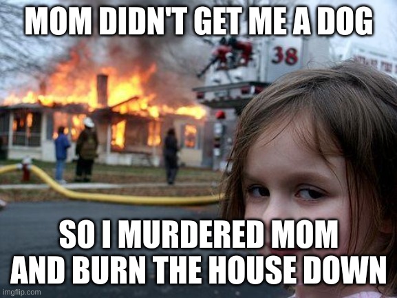 Disaster Girl Meme | MOM DIDN'T GET ME A DOG; SO I MURDERED MOM AND BURN THE HOUSE DOWN | image tagged in memes,disaster girl | made w/ Imgflip meme maker