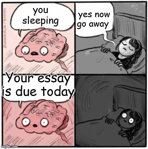 Brain Before Sleep | yes now go away; you sleeping; Your essay is due today | image tagged in brain before sleep | made w/ Imgflip meme maker