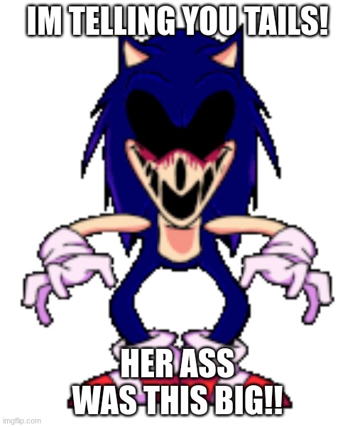 THIS BIG!! | IM TELLING YOU TAILS! HER ASS WAS THIS BIG!! | image tagged in sonic,friday night funkin | made w/ Imgflip meme maker