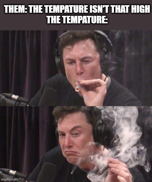 I am high | THEM: THE TEMPATURE ISN'T THAT HIGH
THE TEMPATURE: | image tagged in elon musk weed | made w/ Imgflip meme maker