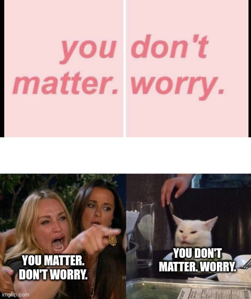the first meme I posted in MSMG i'm gonna try to mimic my old dumb self here | YOU DON'T MATTER. WORRY. YOU MATTER. DON'T WORRY. | image tagged in you don't matter worry,memes,woman yelling at cat | made w/ Imgflip meme maker