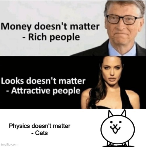 Physics doesn't matter | Physics doesn't matter
- Cats | image tagged in x doesn't matter | made w/ Imgflip meme maker