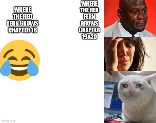 WHERE THE RED FERN GROWS CHAPTER 18; WHERE THE RED FERN GROWS CHAPTER 19&20 | image tagged in white rectangle,crying michael jordan,memes,first world problems,crying cat | made w/ Imgflip meme maker