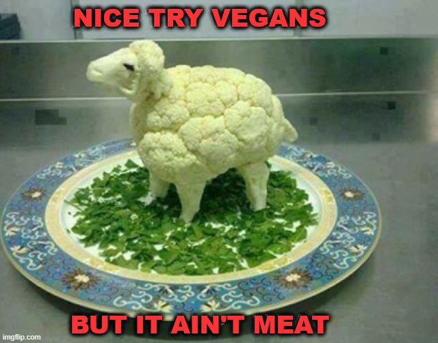 Faked out | image tagged in vegan | made w/ Imgflip meme maker