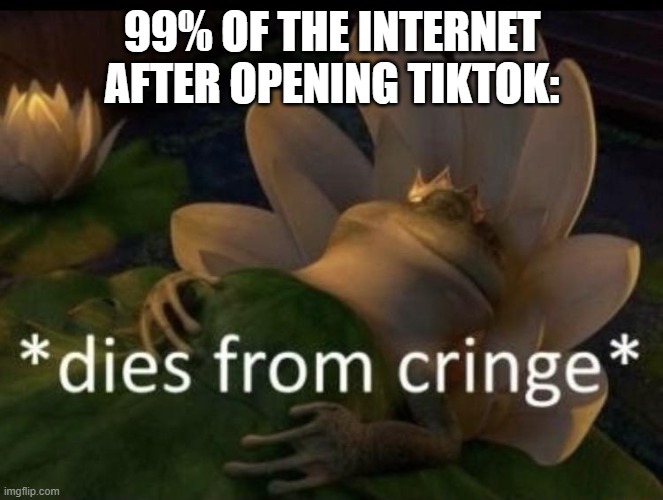 I couldn't get any idea for memes and so I present you this masterpiece... | 99% OF THE INTERNET AFTER OPENING TIKTOK: | image tagged in dies from cringe | made w/ Imgflip meme maker