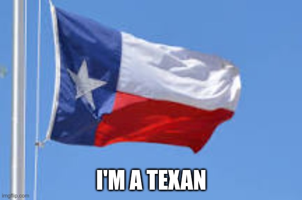 Texas Flag | I'M A TEXAN | image tagged in texas flag | made w/ Imgflip meme maker