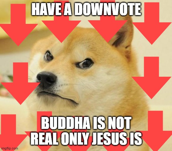 Mad doge | HAVE A DOWNVOTE BUDDHA IS NOT REAL ONLY JESUS IS | image tagged in mad doge | made w/ Imgflip meme maker