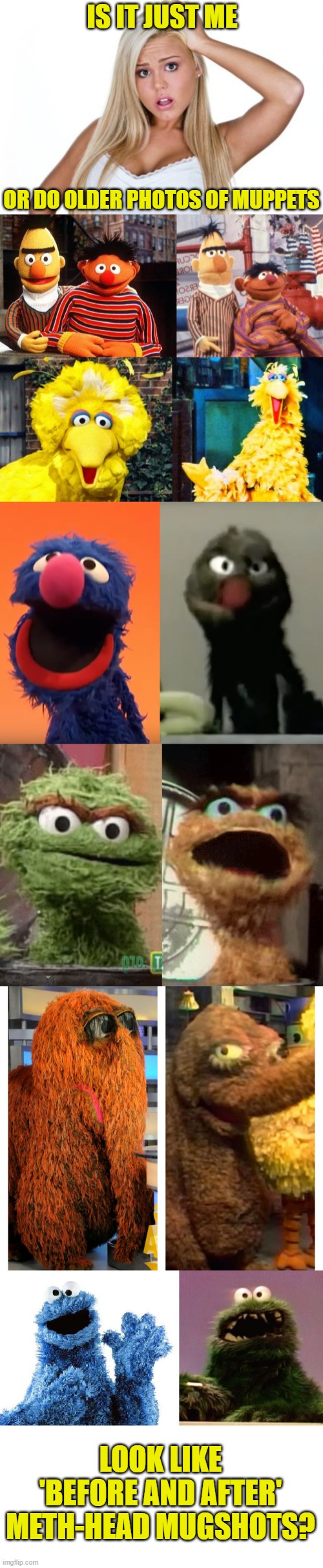 Sesame street; not even once! |  IS IT JUST ME; OR DO OLDER PHOTOS OF MUPPETS; LOOK LIKE 'BEFORE AND AFTER' METH-HEAD MUGSHOTS? | image tagged in dumb blonde,sesame street,meth,mugshot,memes | made w/ Imgflip meme maker
