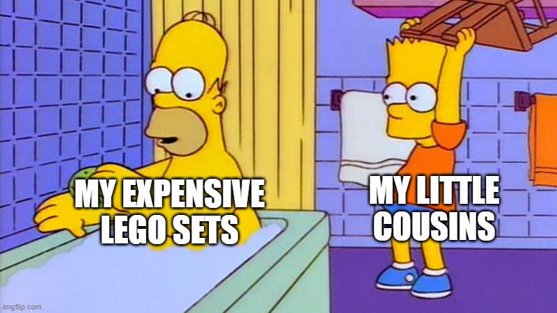 WHY! | MY LITTLE COUSINS; MY EXPENSIVE LEGO SETS | image tagged in bart hitting homer with a chair | made w/ Imgflip meme maker