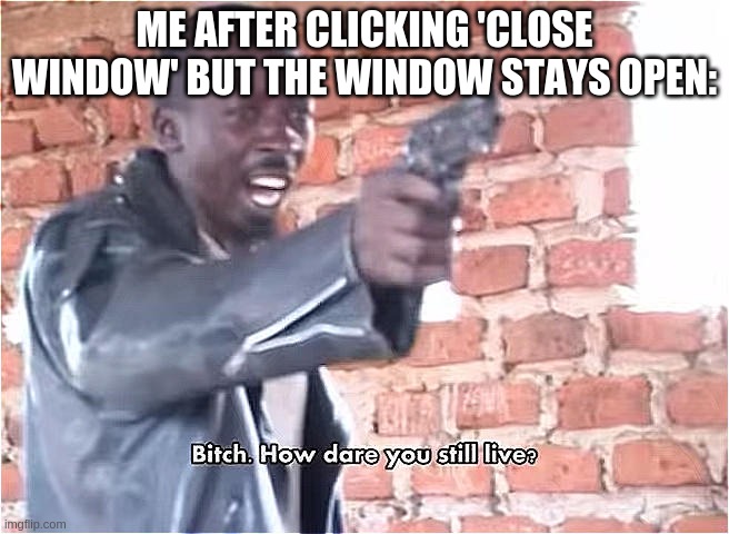 lol |  ME AFTER CLICKING 'CLOSE WINDOW' BUT THE WINDOW STAYS OPEN: | image tagged in bitch how dare you still live | made w/ Imgflip meme maker