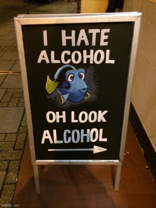 So drunk you can't even find Dory. | image tagged in drunk dory | made w/ Imgflip meme maker