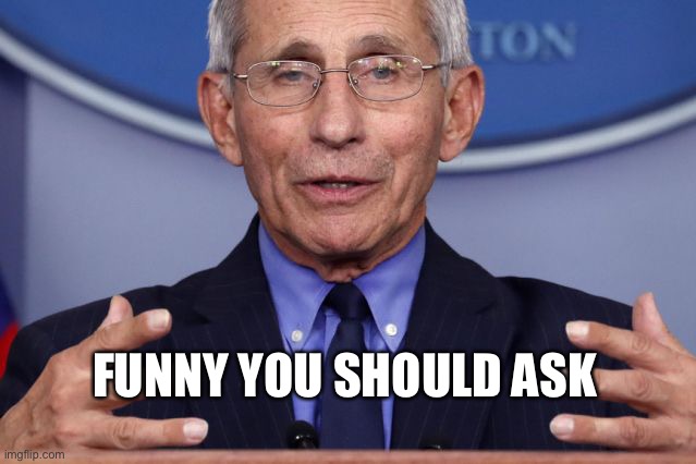 Dr. Anthony fauci | FUNNY YOU SHOULD ASK | image tagged in dr anthony fauci | made w/ Imgflip meme maker