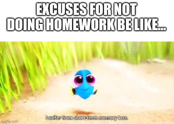 I suffer from | EXCUSES FOR NOT DOING HOMEWORK BE LIKE... | image tagged in i suffer from | made w/ Imgflip meme maker