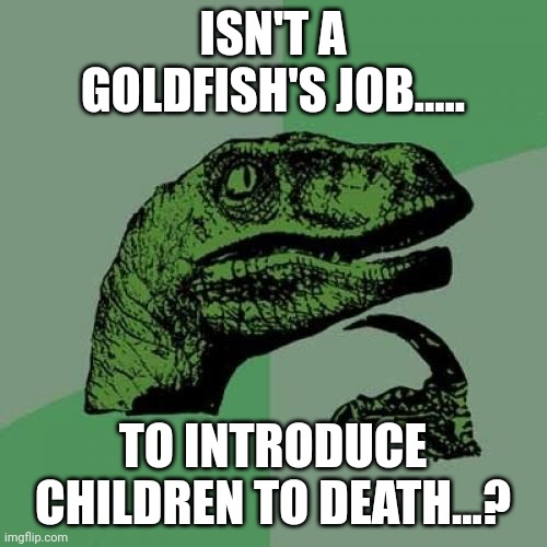 Yeah that's the dark truth | ISN'T A GOLDFISH'S JOB..... TO INTRODUCE CHILDREN TO DEATH...? | image tagged in memes,philosoraptor,funny,logic | made w/ Imgflip meme maker