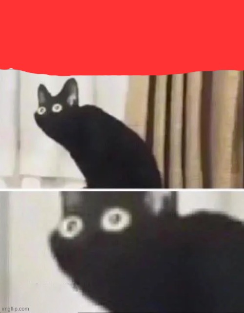 Oh No Black Cat | image tagged in oh no black cat | made w/ Imgflip meme maker