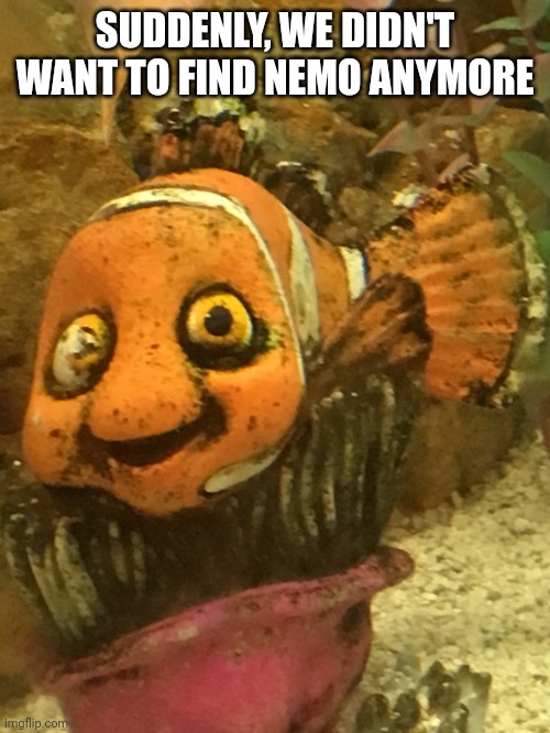 Nemo! You got the stuff? | SUDDENLY, WE DIDN'T WANT TO FIND NEMO ANYMORE | image tagged in nemo you got the stuff | made w/ Imgflip meme maker
