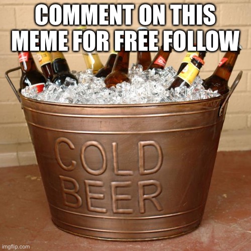 Ice Bucket of beer challenge | COMMENT ON THIS MEME FOR FREE FOLLOW | image tagged in ice bucket of beer challenge | made w/ Imgflip meme maker