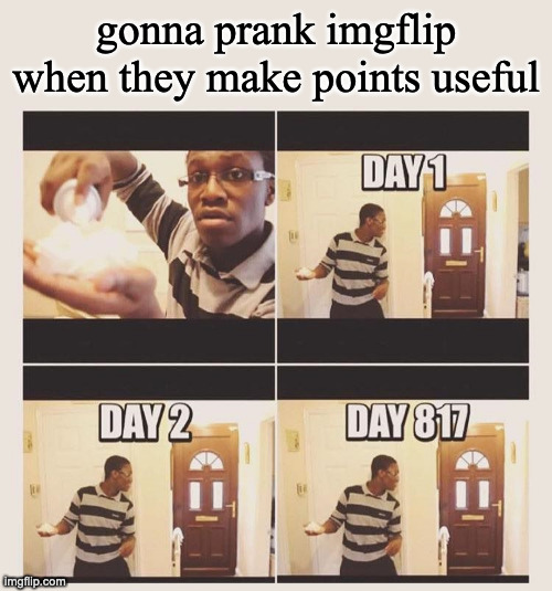 gonna prank x when he/she gets home | gonna prank imgflip when they make points useful | image tagged in gonna prank x when he/she gets home | made w/ Imgflip meme maker
